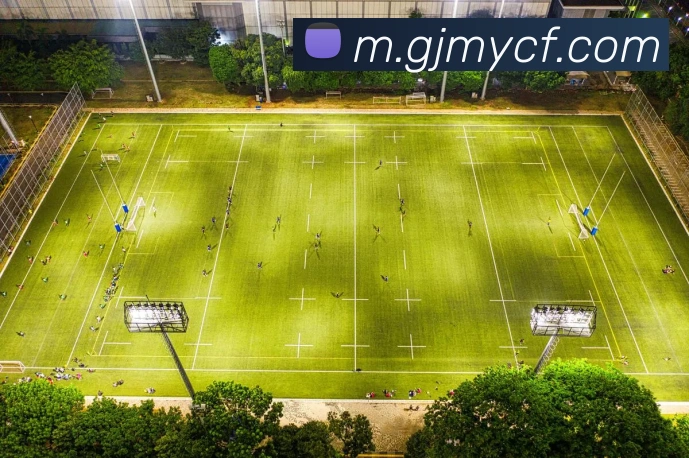 超凡国际APP 高清赛事图